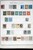 Lot 3002 (44)