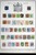 Lot 3002 (49)