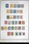 Lot 3002 (51)