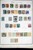 Lot 3002 (61)