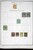 Lot 3002 (76)