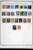 Lot 3002 (83)