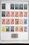 Lot 3002 (87)