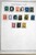 Lot 3002 (105)