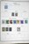 Lot 3002 (125)