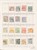 Lot 4265 (6)