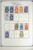 Lot 3064 (215)