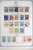 Lot 3064 (218)