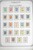 Lot 3064 (224)