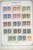 Lot 3064 (255)