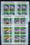 Kavel 3003 (16)