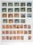 Kavel 3312 (69)