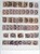 Kavel 3312 (137)