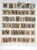 Kavel 3312 (281)
