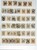 Kavel 3312 (282)