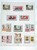 Kavel 3312 (816)