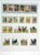 Kavel 3312 (884)