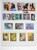 Kavel 3312 (1009)