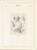 Lot 3077 (233)
