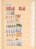 Kavel 3107