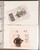 Kavel 3110 (71)