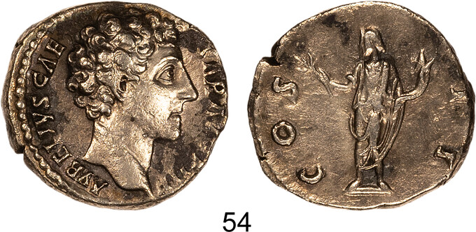 Lot 54