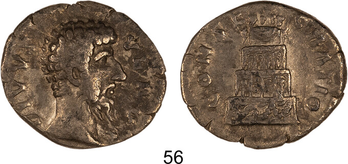 Lot 56