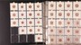 Kavel 1246 (35)