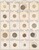 Kavel 1101 (5)