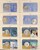 Kavel 1242 (2)