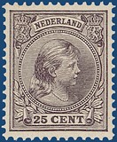 Kavel 3243