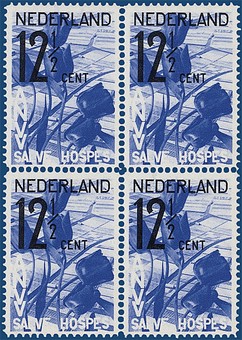 Kavel 3651