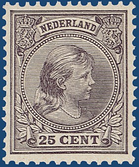 Kavel 3242