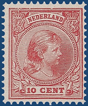 Kavel 3223