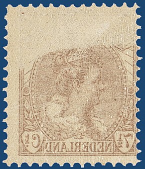 Kavel 3311