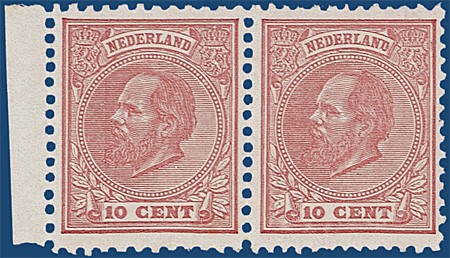 Kavel 3131