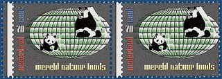 Lot 4051