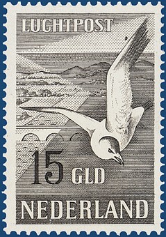 Kavel 4398