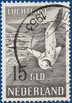 Kavel 4404