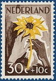 Kavel 4845