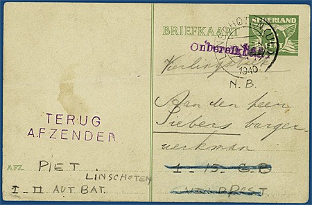 Lot 113