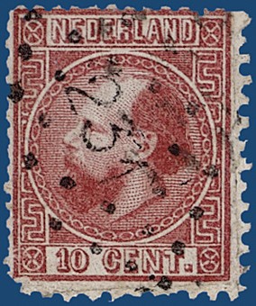 Lot 135