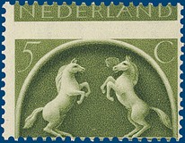 Kavel 2799