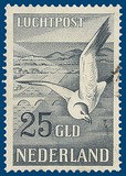 Kavel 2907