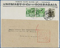 Lot 2261
