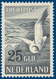 Kavel 2900