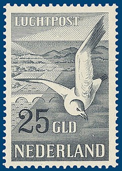 Kavel 2904