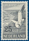 Kavel 2904
