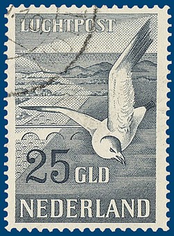 Kavel 2908