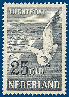 Kavel 2902